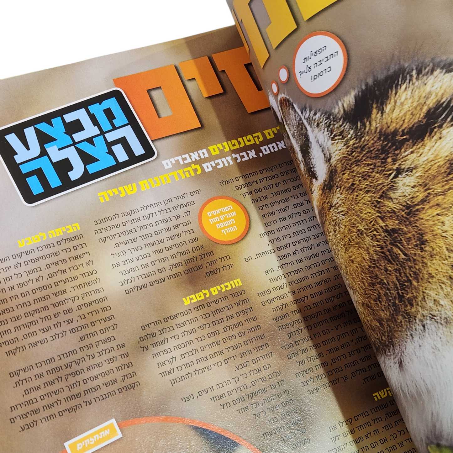 NATIONAL GEOGRAPHIC KIDS | אפריל 2014