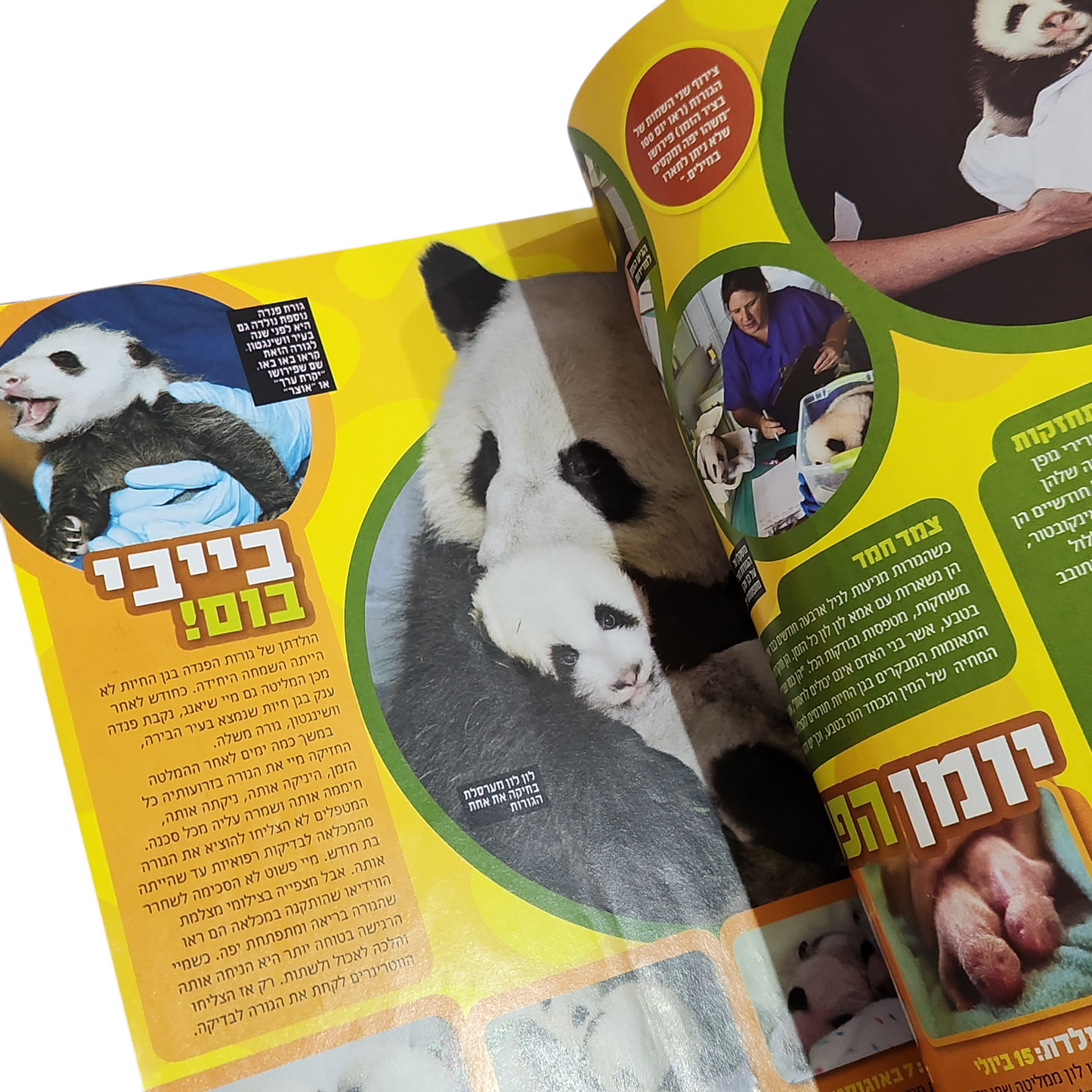 NATIONAL GEOGRAPHIC KIDS | יוני 2014