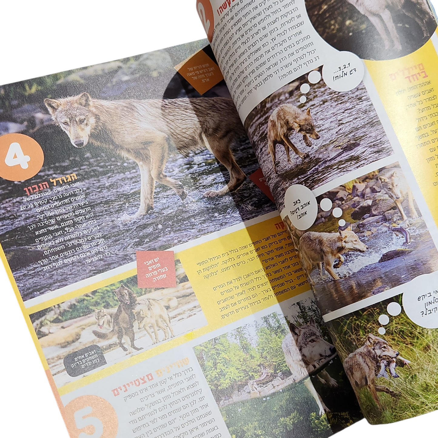 NATIONAL GEOGRAPHIC KIDS | אוטובר 2019