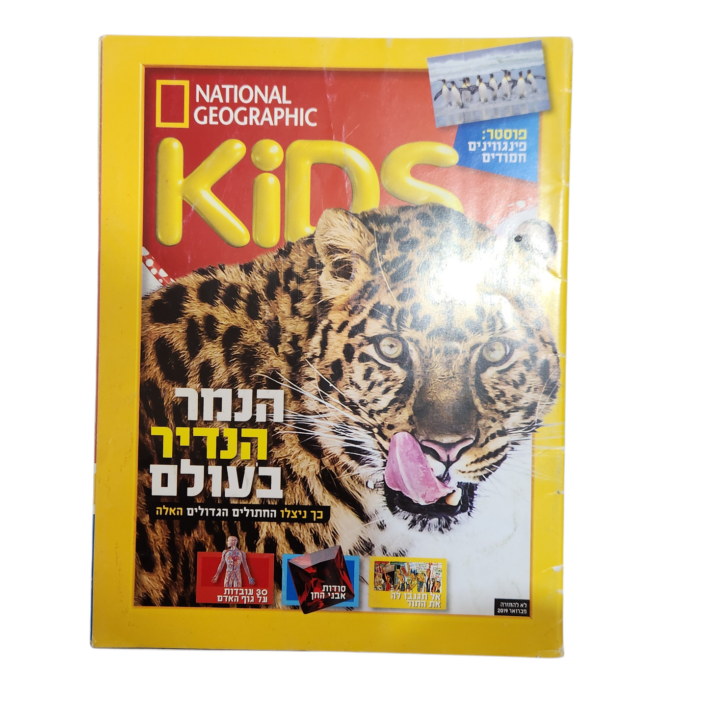 NATIONAL GEOGRAPHIC KIDS | פבואר 2019