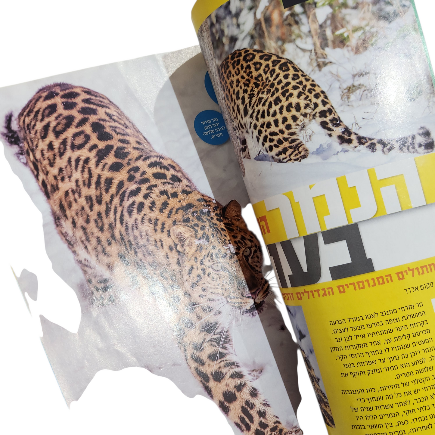 NATIONAL GEOGRAPHIC KIDS | פבואר 2019