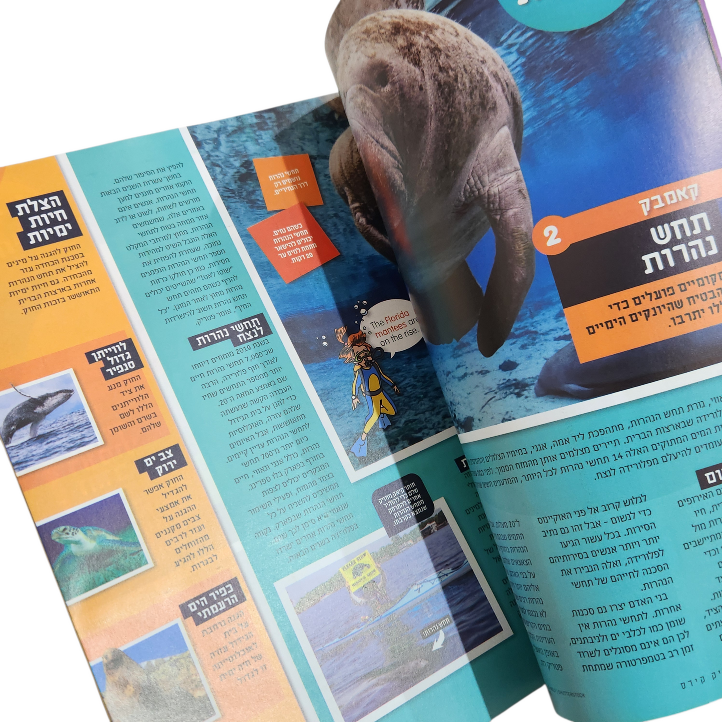 NATIONAL GEOGRAPHIC KIDS | אפריל 2020