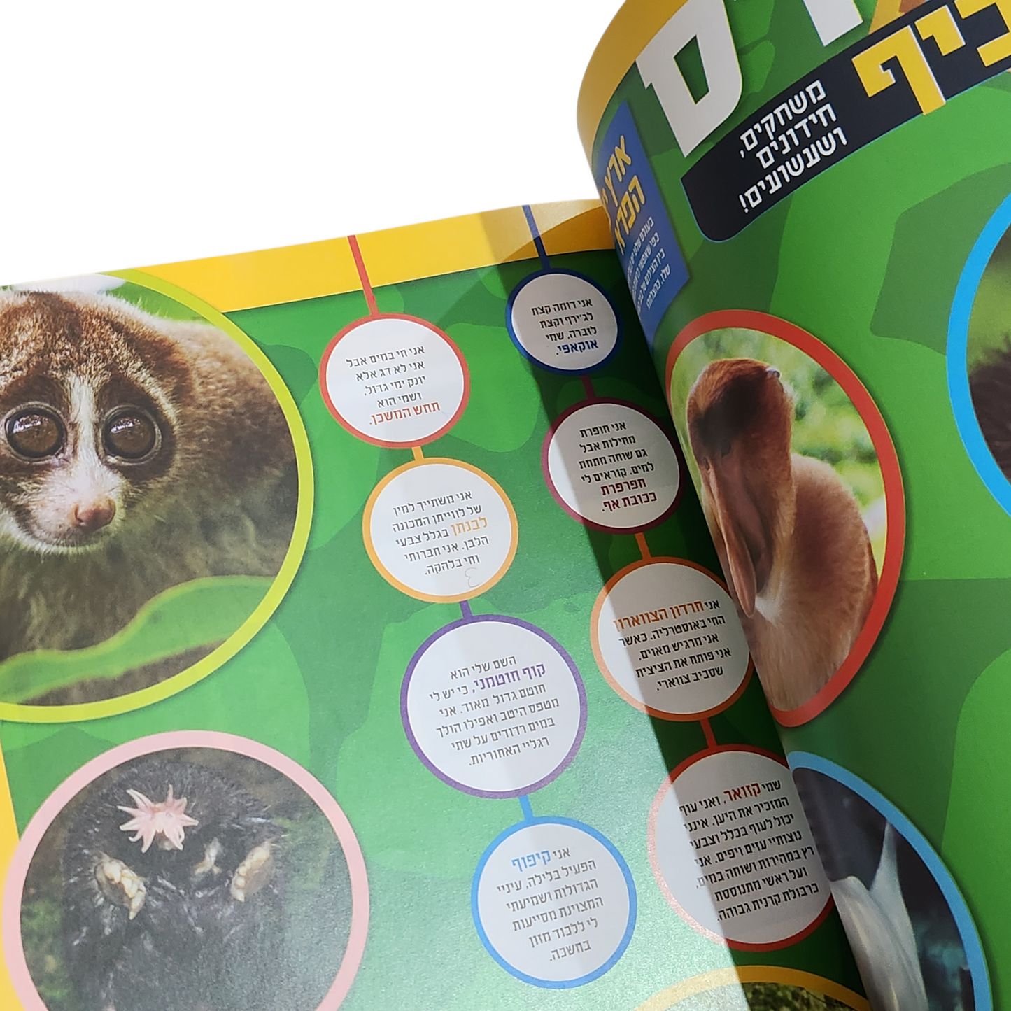 NATIONAL GEOGRAPHIC KIDS | ינואר 2020