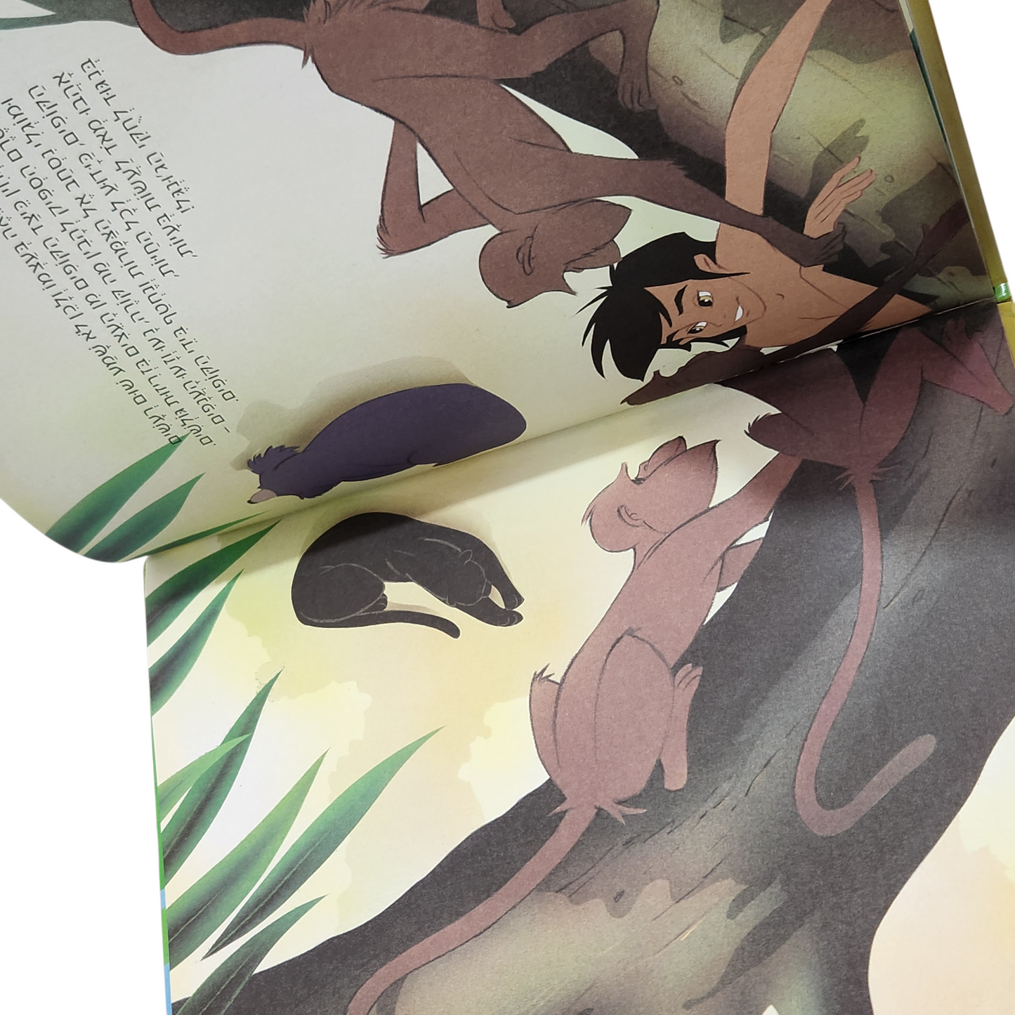 ספר הג'ונגל - אגדות בחרוזים - אפרים סידן