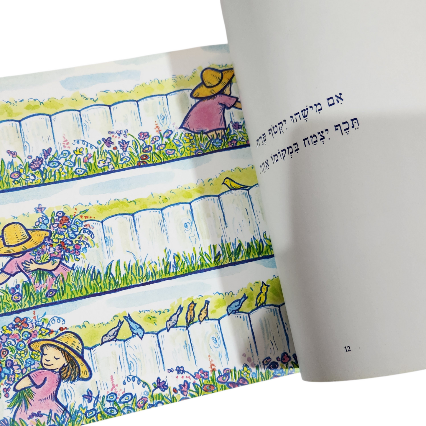 בגינה שלי - קווין הנקס