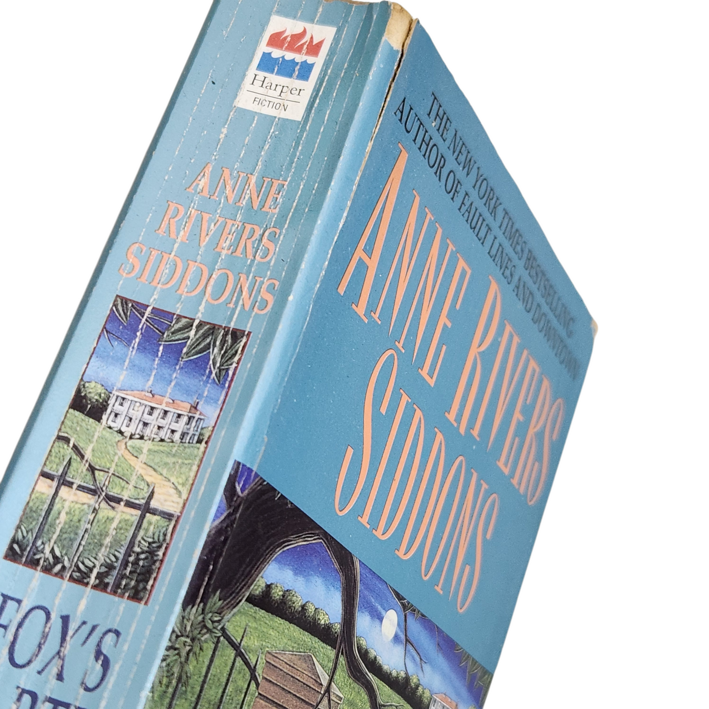 Fox’s Earth - Anne Rivers Siddons