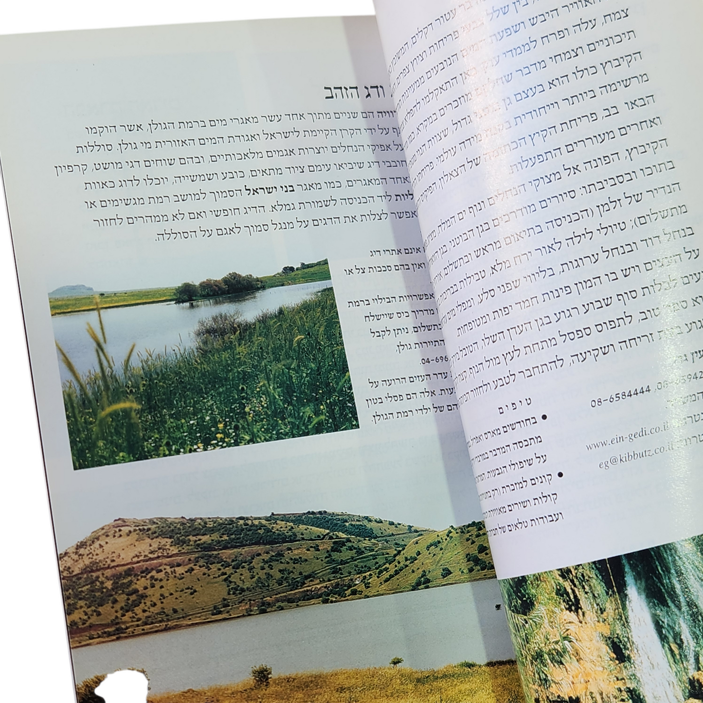 פינת חמד - אלישבע זלצר