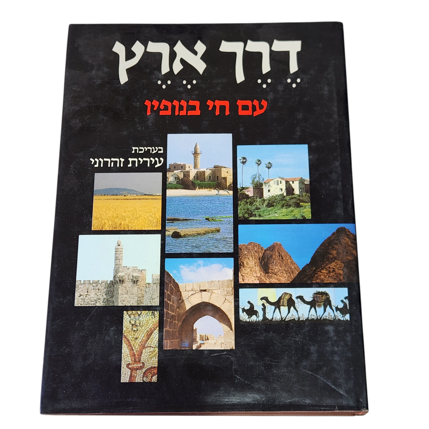 דרך ארץ עם חי בנופיו