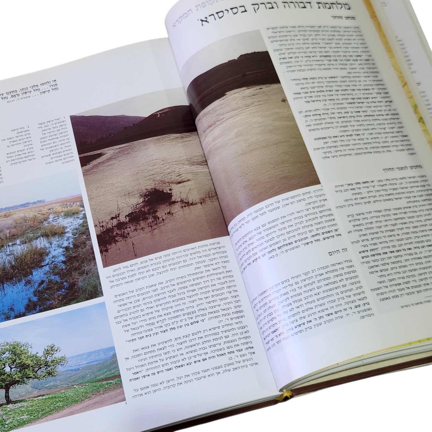 דרך ארץ עם חי בנופיו