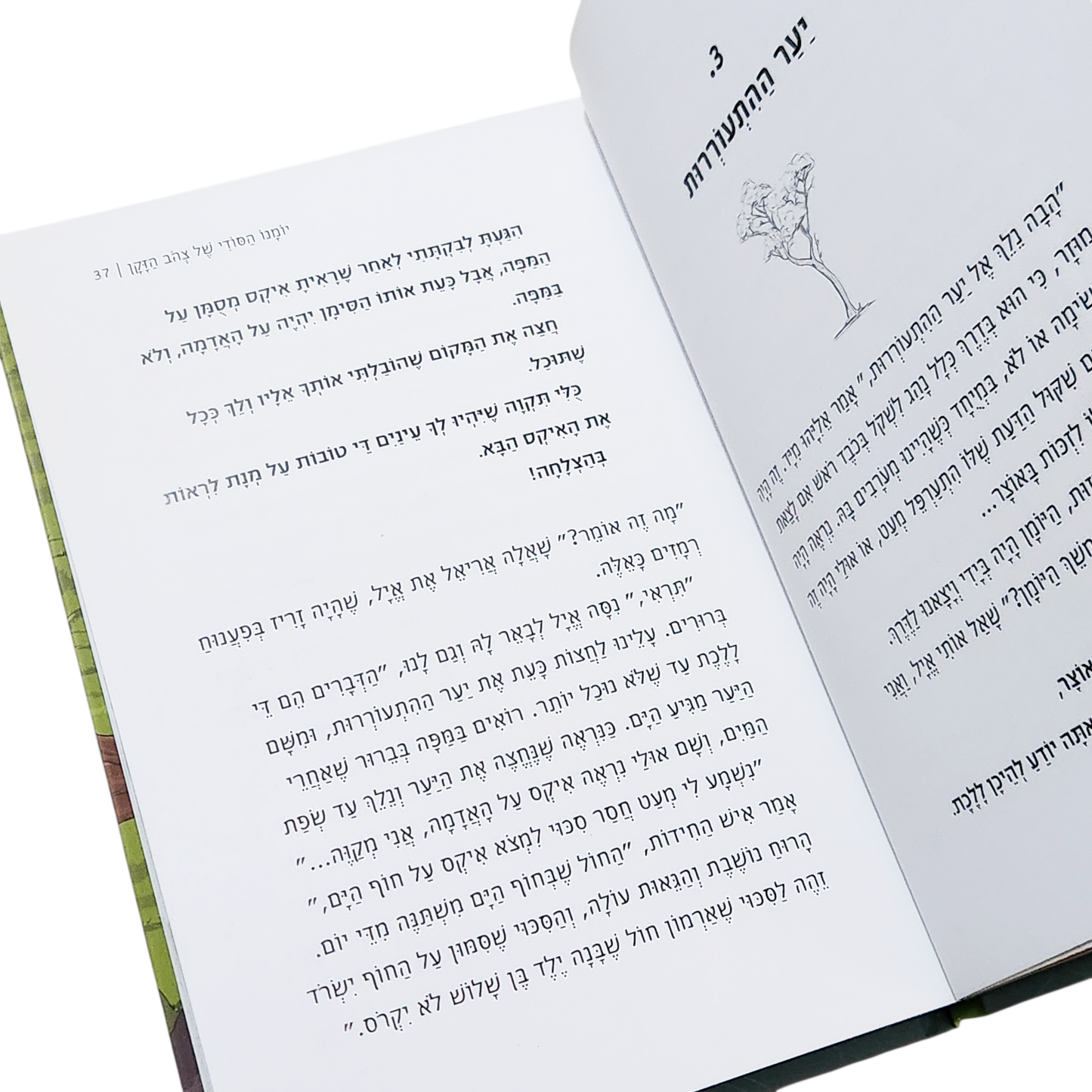 יומנו הסודי של צהב הזקן - מיכאל אבס