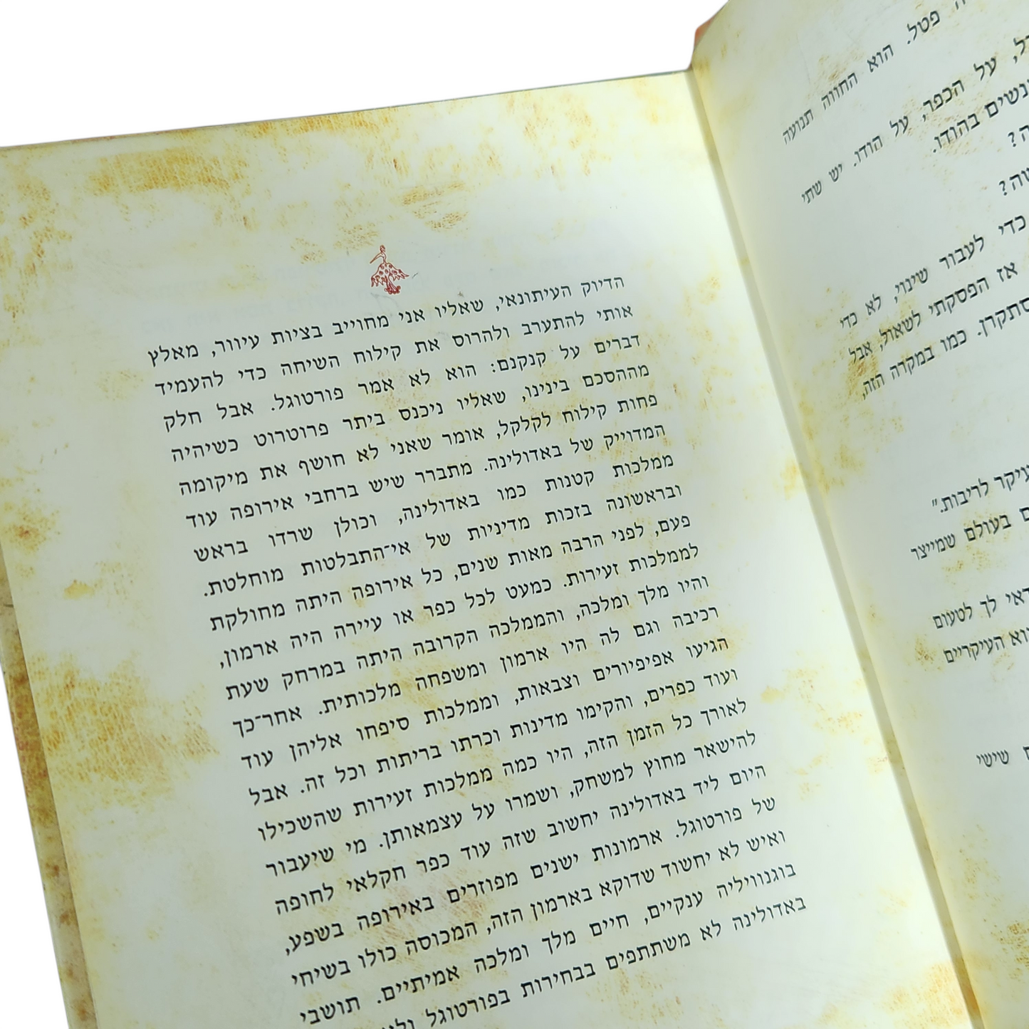 באדולינה - גבי ניצן