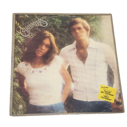 Carpenters – Horizon | תקליט וינטג' פופ קלאסי
