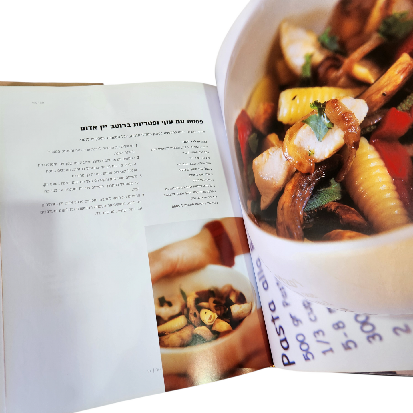 ספר העוף הגדול - רות אוליבר, אורלי פלאי - ברונשטיין