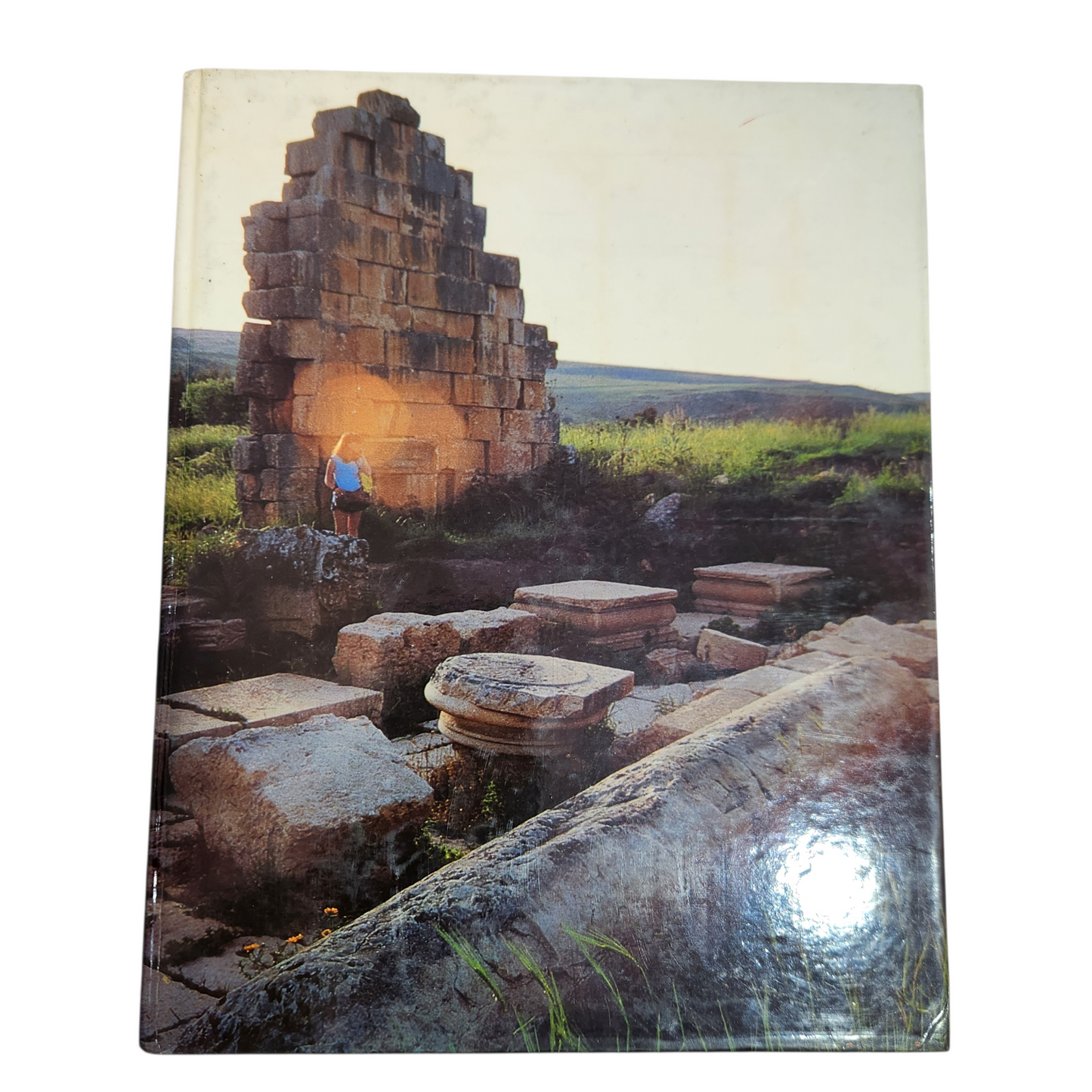 נקודת חן מתחת לאף - אורי דביר