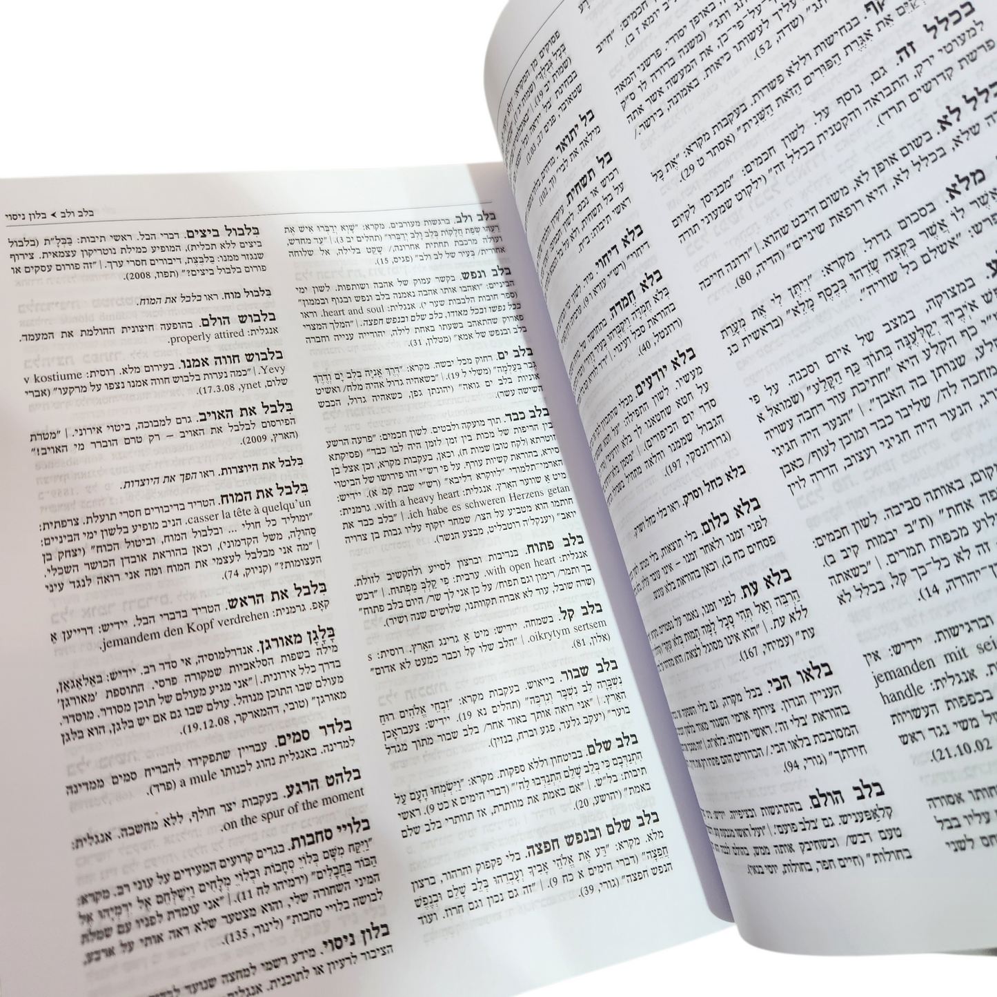 מילון הצירופים - רוביק רוזנטל