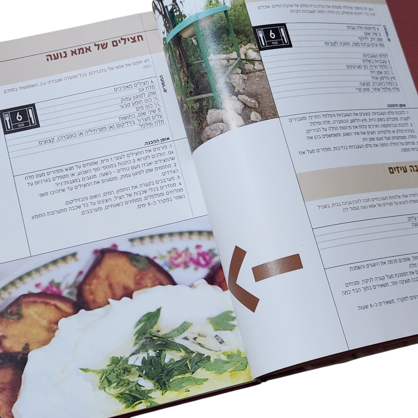 ניר צוק מדלג ביון הסירים