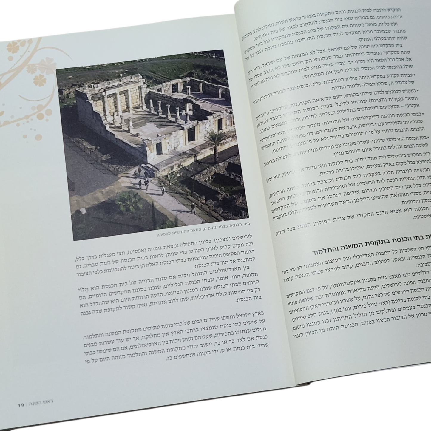 לטייל עם חגי ישראל - שרה שוב