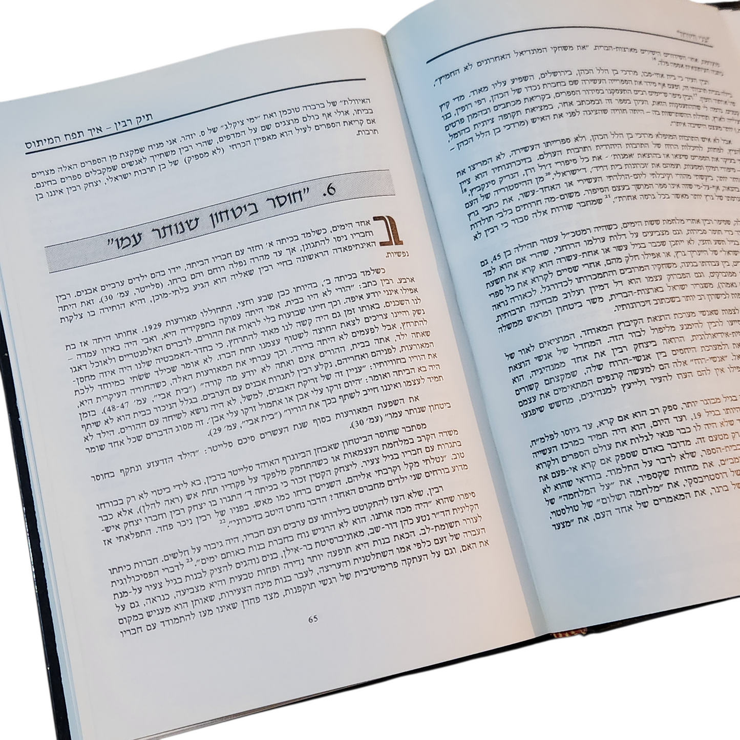 תיק רבין | איך תפח המיתוס | אורי מילשטיין