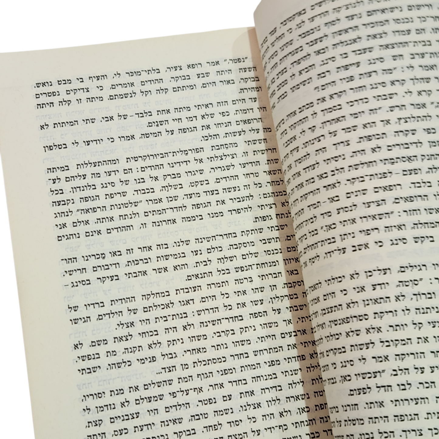 רק שנה אחת | סבטלנה אלילויבה (סטלין) | רומן מתורגם
