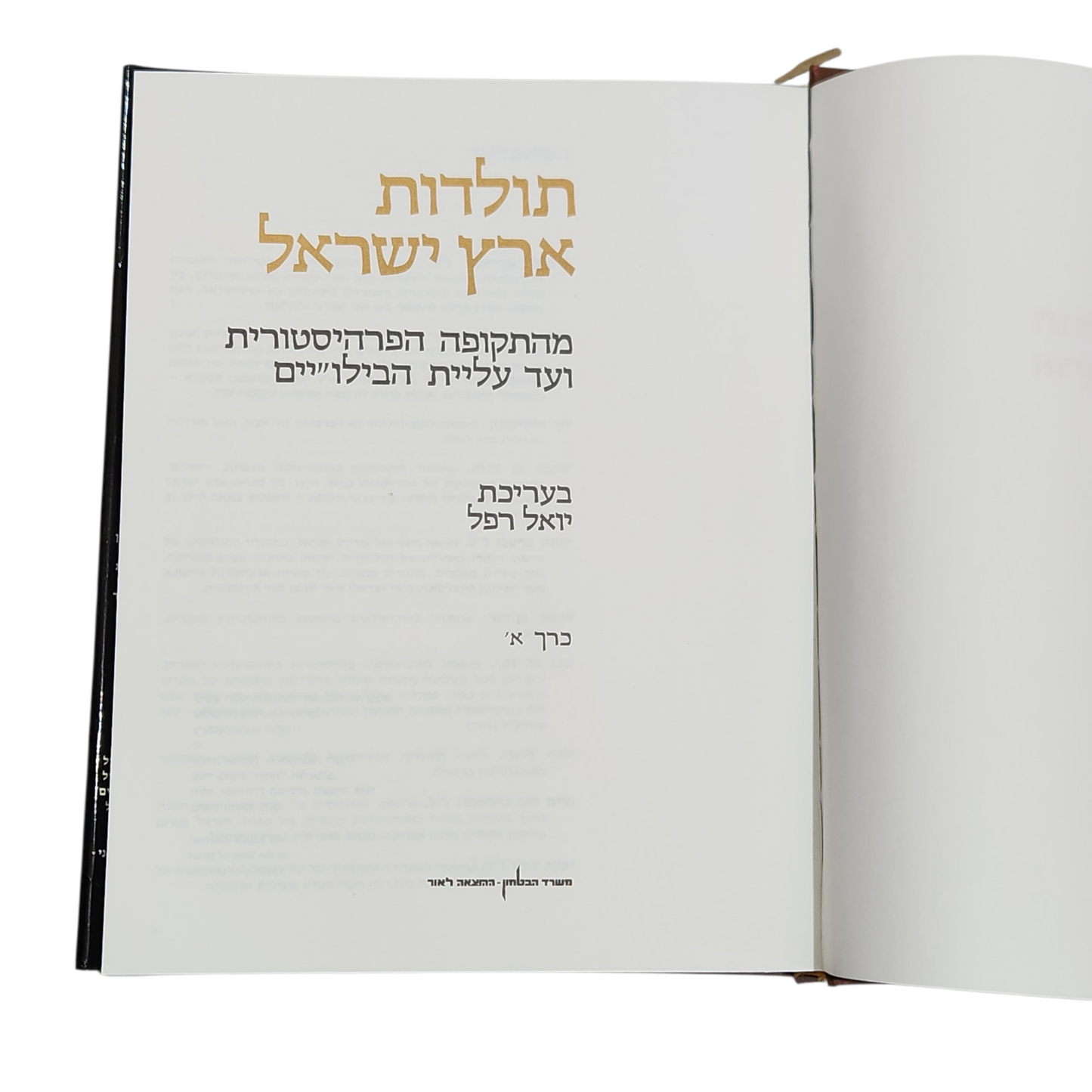 תולדות ארץ ישראל - בעריכת יואל רפל