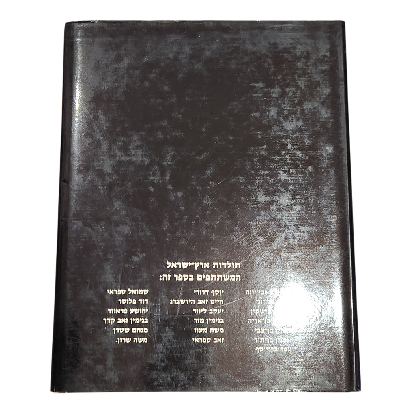 תולדות ארץ ישראל - בעריכת יואל רפל