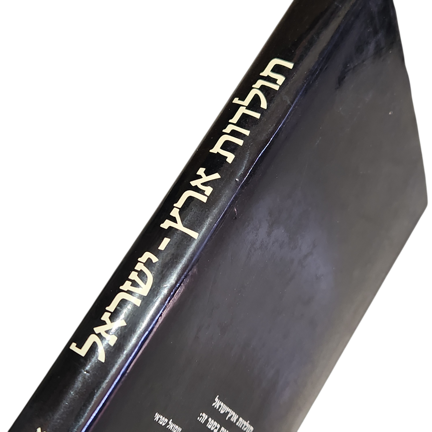 תולדות ארץ ישראל - בעריכת יואל רפל