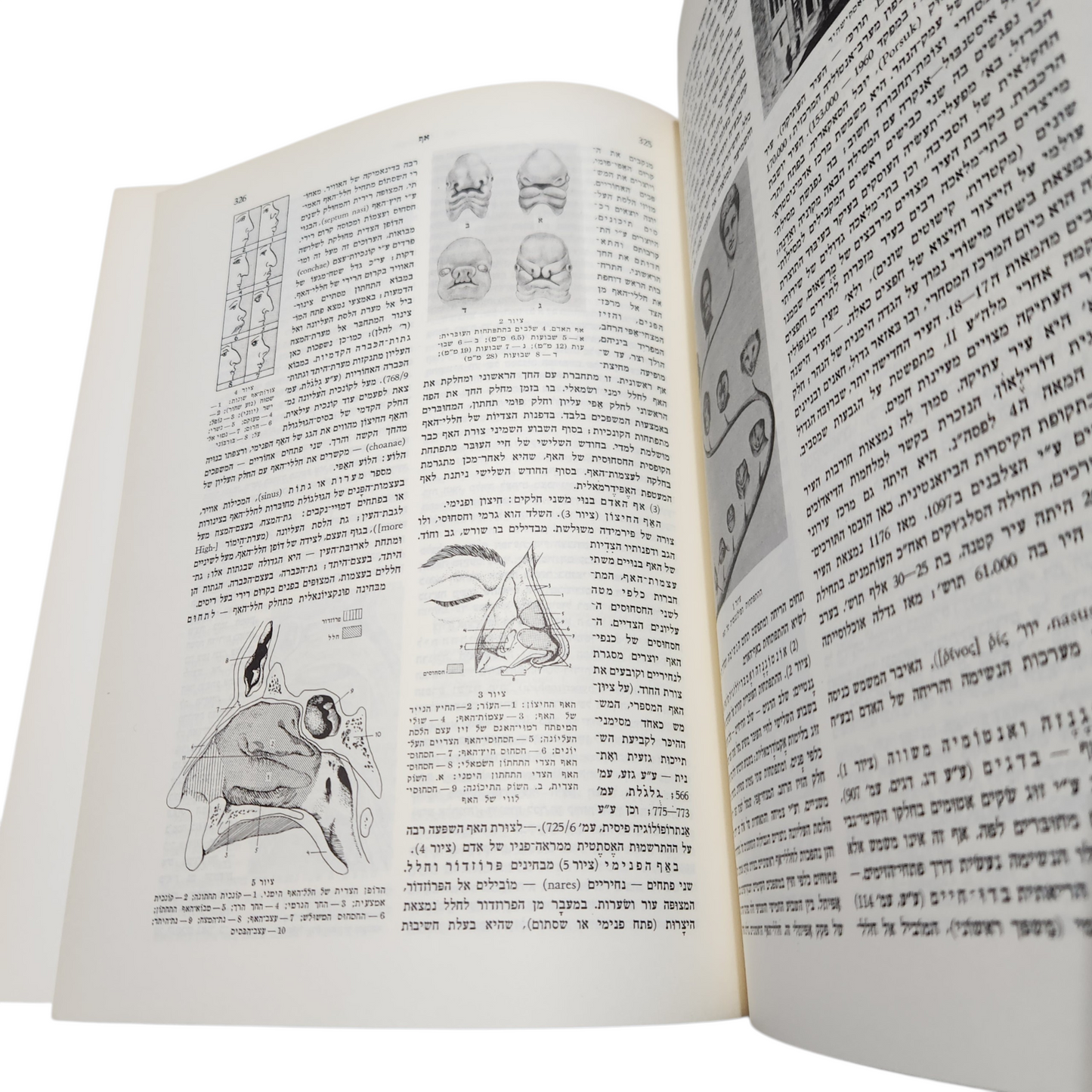האנציקלופדיה העברית - כרך מילואים לכרכים א'-ט"ז