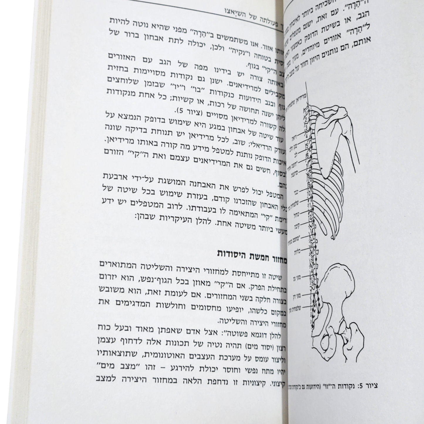 שיאצ'ו - שיטת עיסוי יפנית לשמירה על כושר ובריאות - איליין לייצ'י