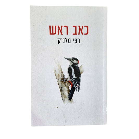 כאב ראש - רפי מלניק 2025