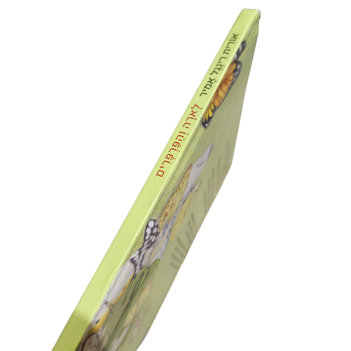 לארה והפרפרים - אורית רינגל אמיר