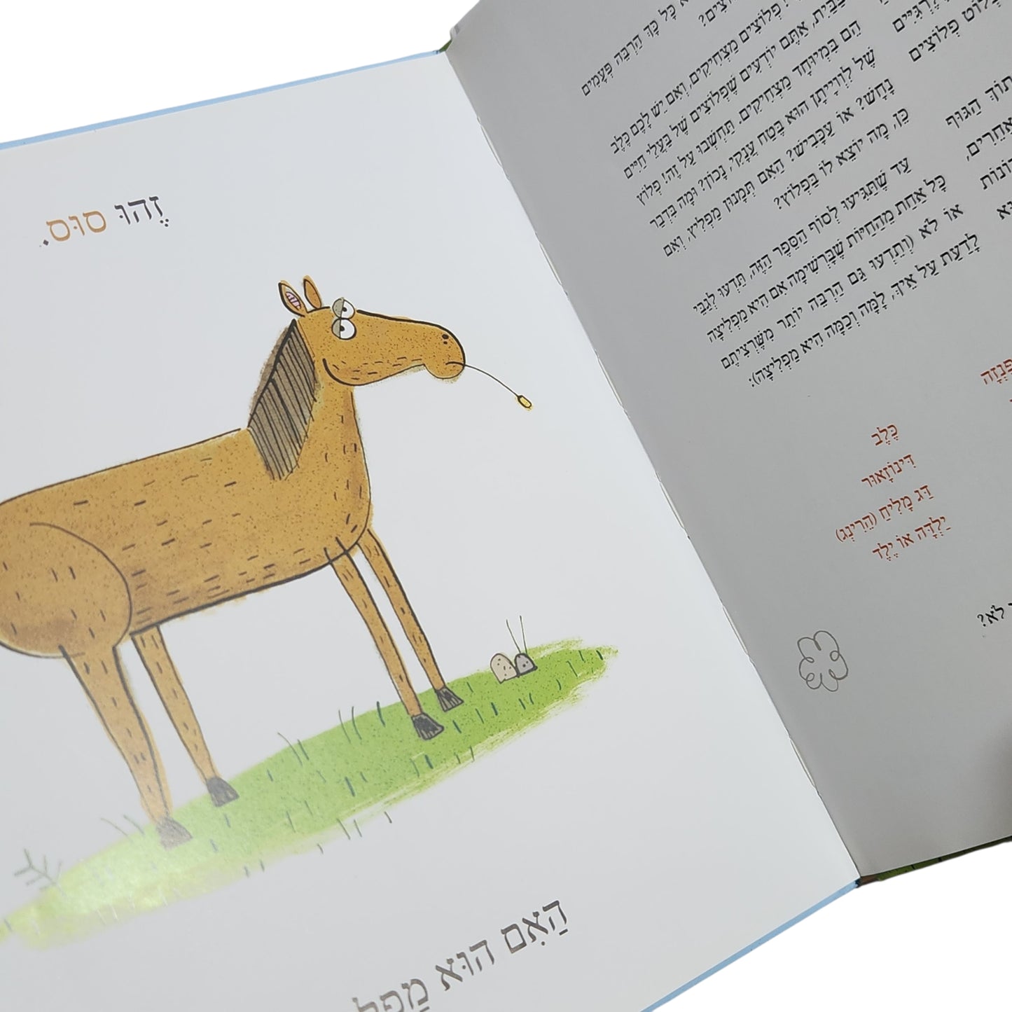 האם הם מפליצים?  - ניק קארוסו ודני רבאיוטי