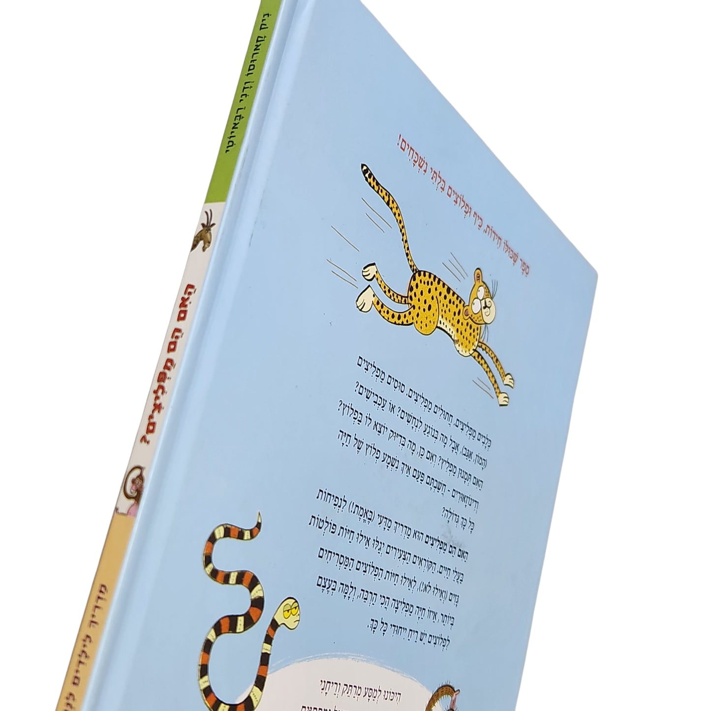 האם הם מפליצים?  - ניק קארוסו ודני רבאיוטי