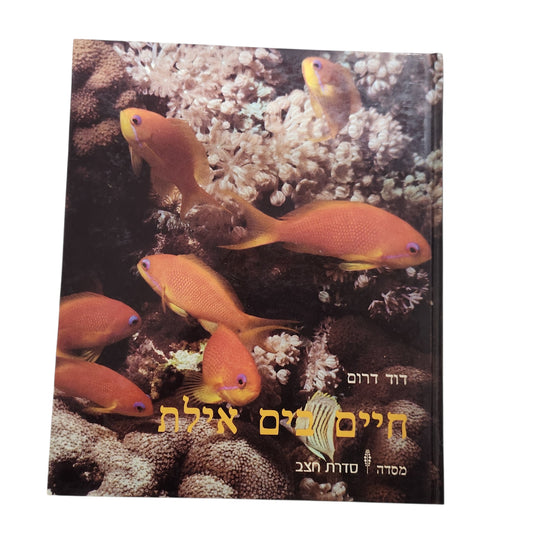 חיים בים אילת - דוד דרום | 1984