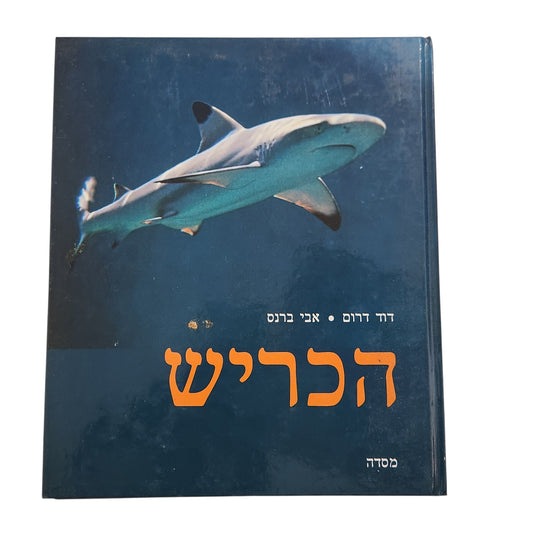 הכריש - דוד דרום, אבי ברנס