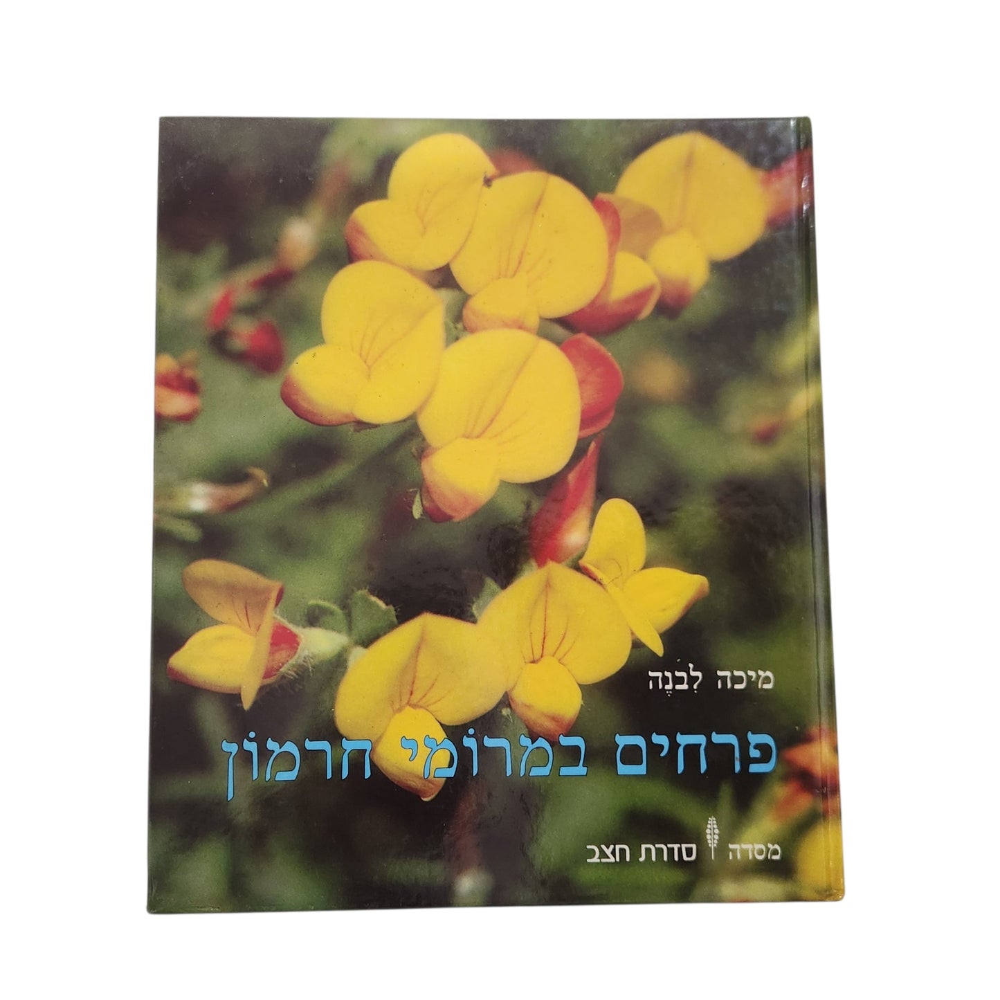 פרחים במרומי חרמון - מיכה לבנה