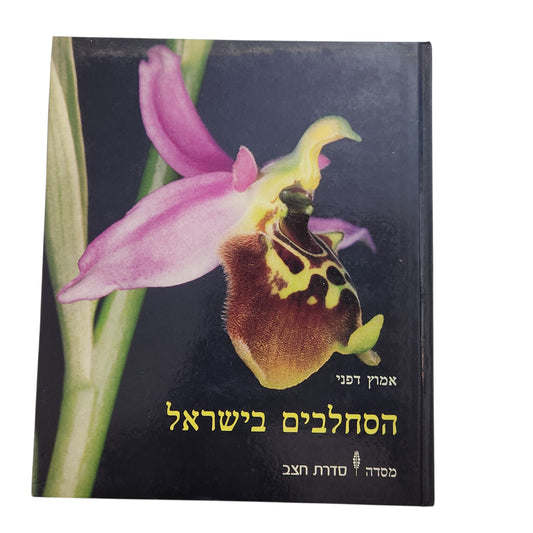 הסחלבים בישראל - אמוץ דפני | 1981