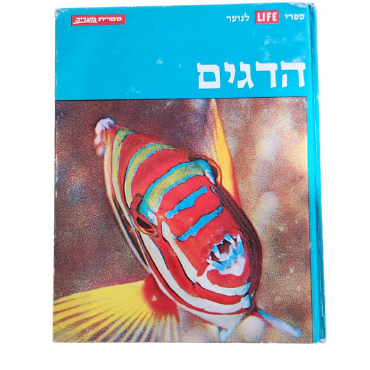 הדגים – ספריית לייף לנוער | 1971 | אספנות
