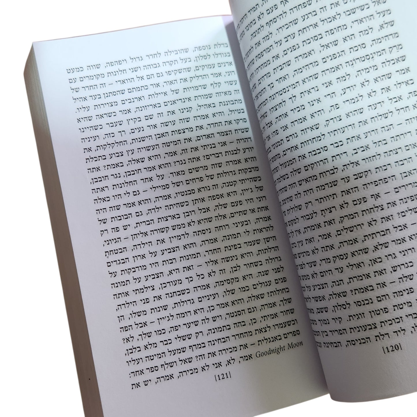 עדן | יעל הדיה | 2005