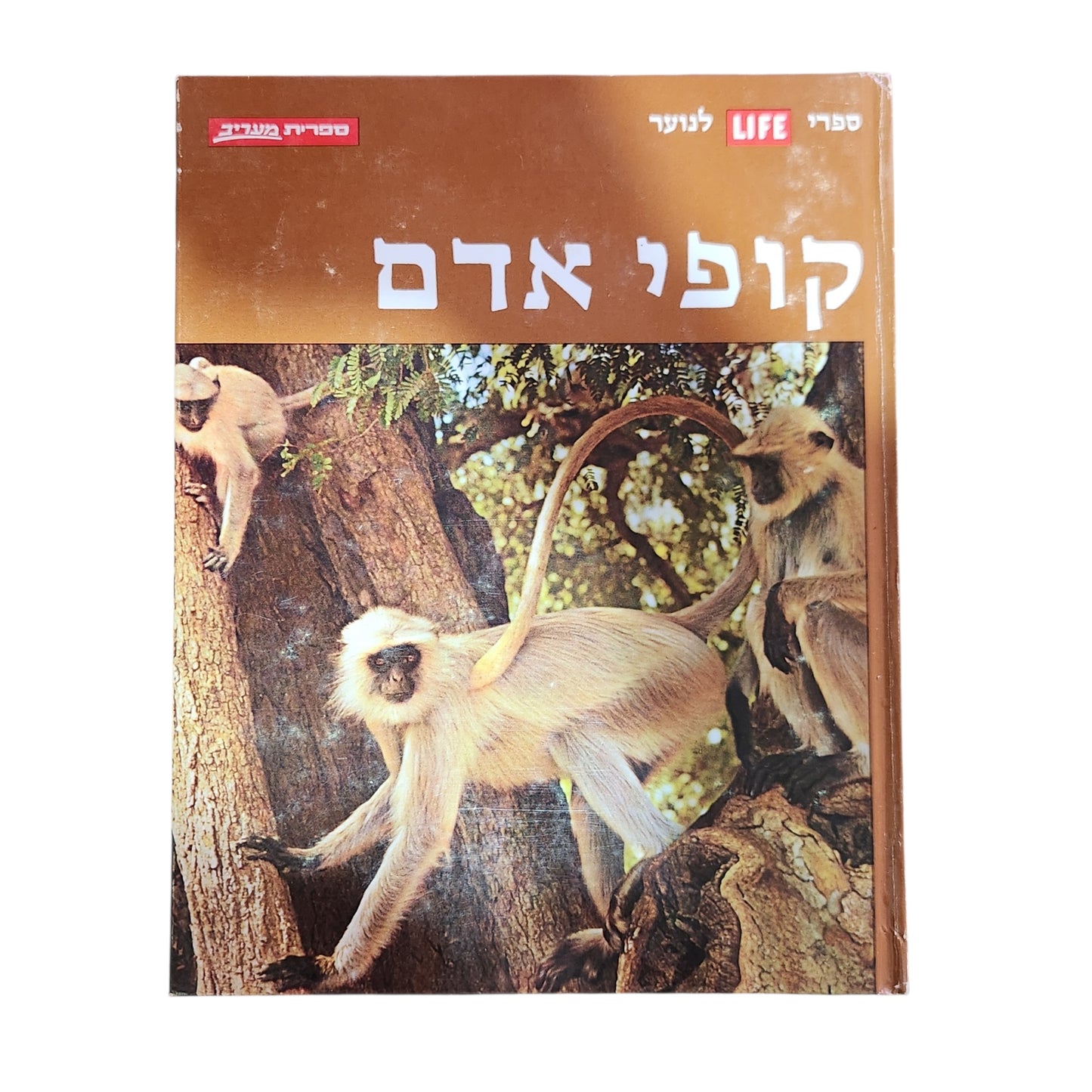 קופי אדם – ספריית לייף לנוער | 1971 | אספנות