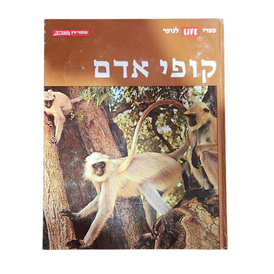 קופי אדם – ספריית לייף לנוער | 1971 | אספנות
