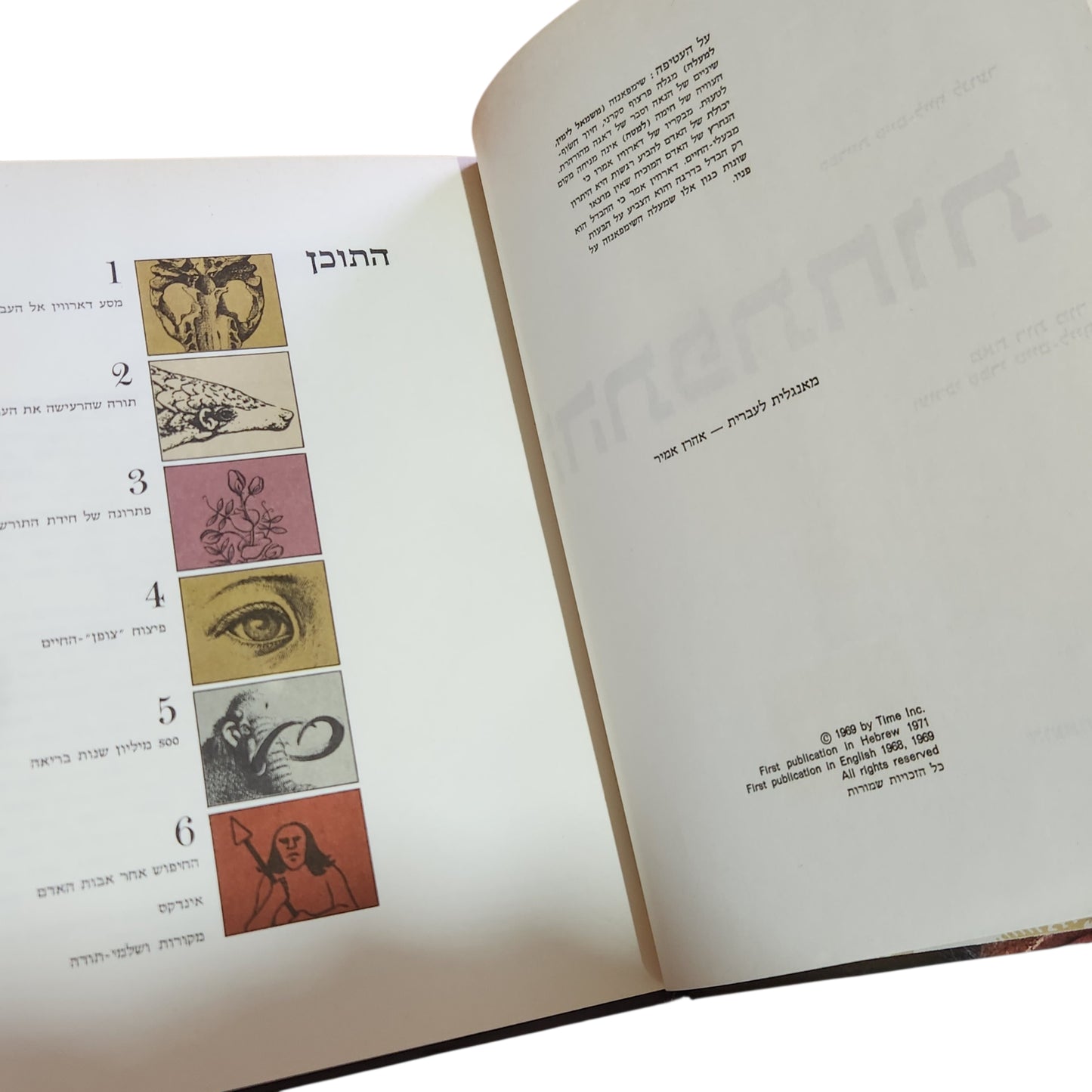 ההתפתחות – ספריית לייף לנוער | 1971 | אספנות