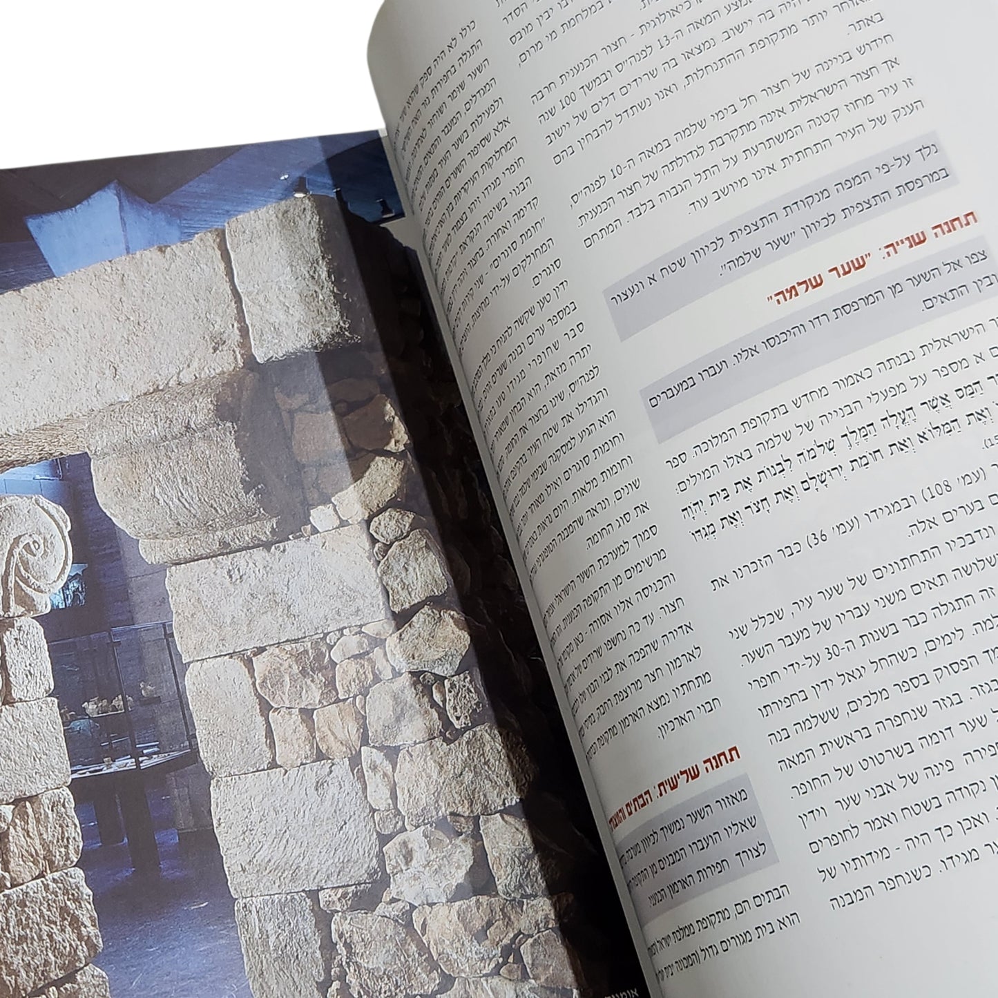 למטייל עם התנ״ך – מסלולי טיולים בעקבות סיפורי התנ״ך | גליה דורון