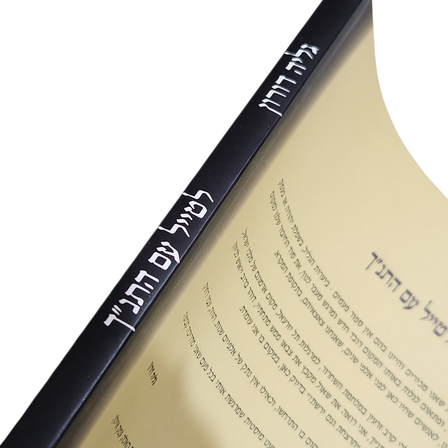 למטייל עם התנ״ך – מסלולי טיולים בעקבות סיפורי התנ״ך | גליה דורון