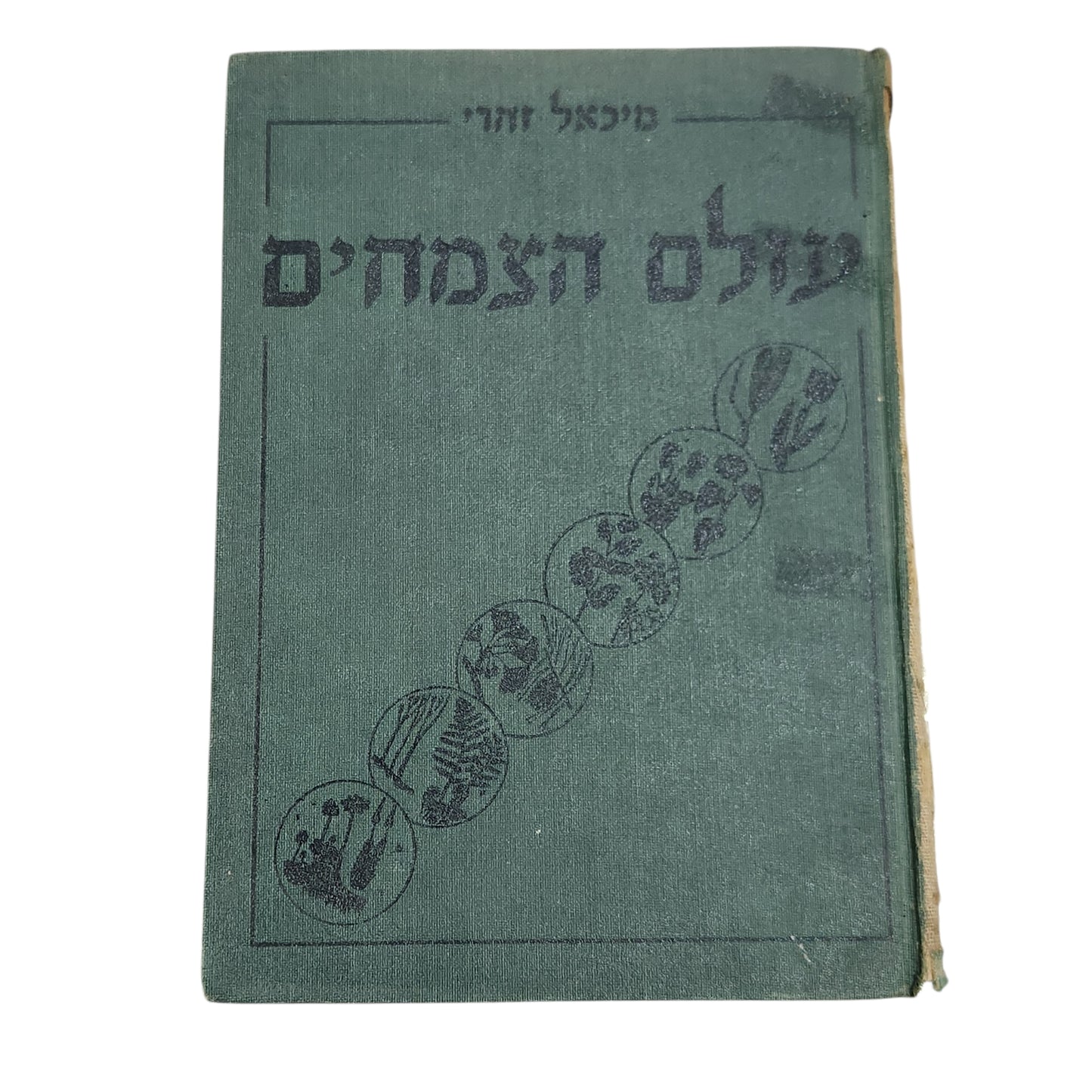 עולם הצמחים – מיכאל זהרי | 1954