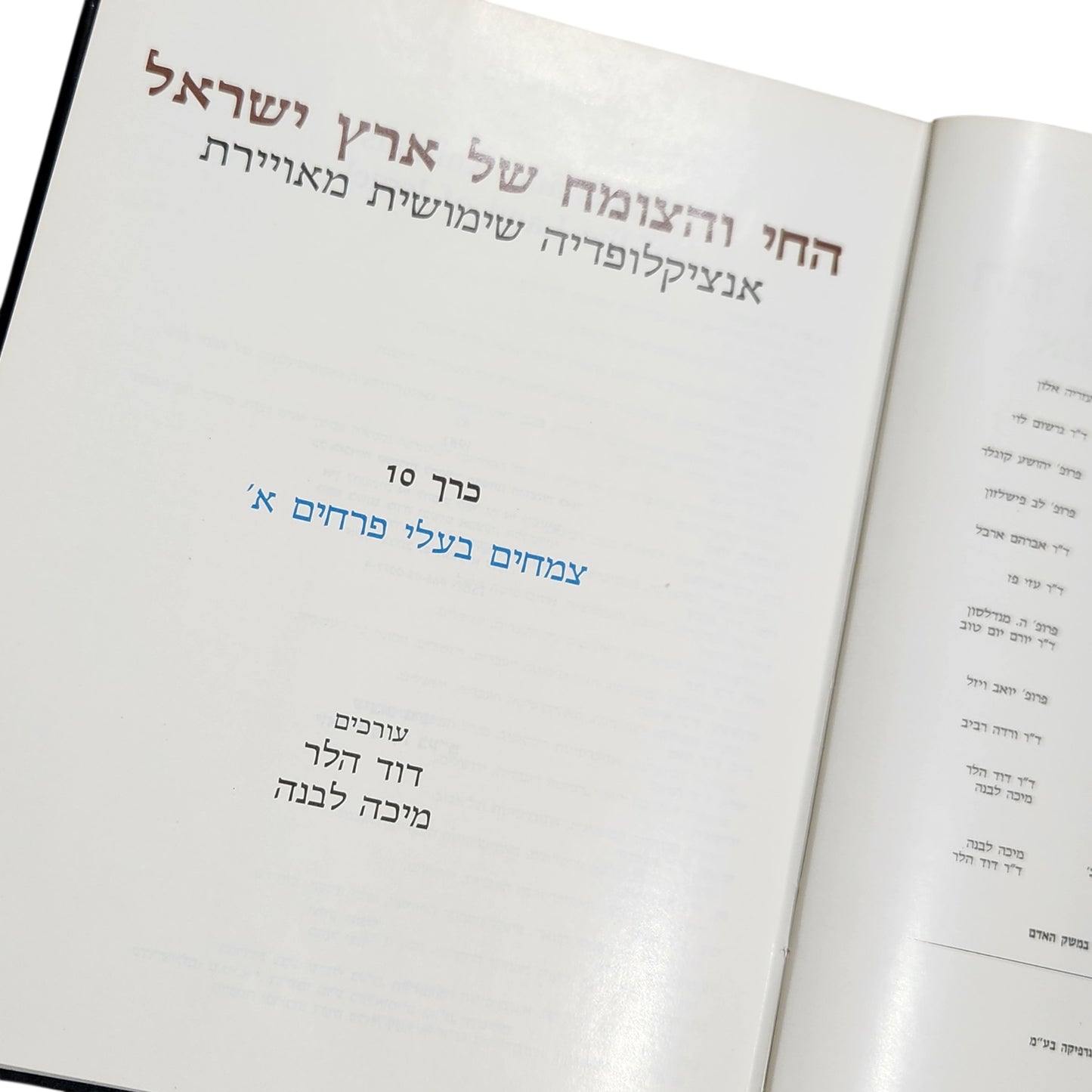 החי והצומח של ארץ ישראל – אנציקלופדיה שימושית מאוירת - צמחים בעלי פרחים ב'