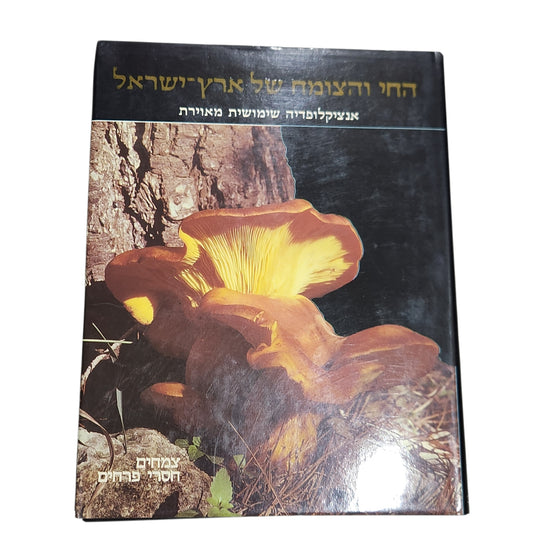 החי והצומח של ארץ ישראל – אנציקלופדיה שימושית מאוירת - צמחים חסרי פרחים