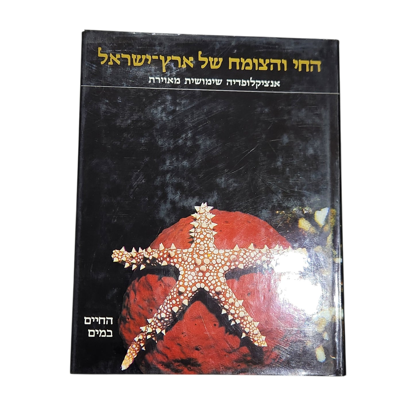 החי והצומח של ארץ ישראל – אנציקלופדיה שימושית מאוירת - החיים במים