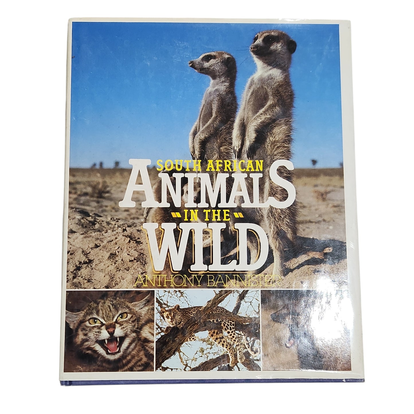 South African Animals in the Wild | Anthony Bannister