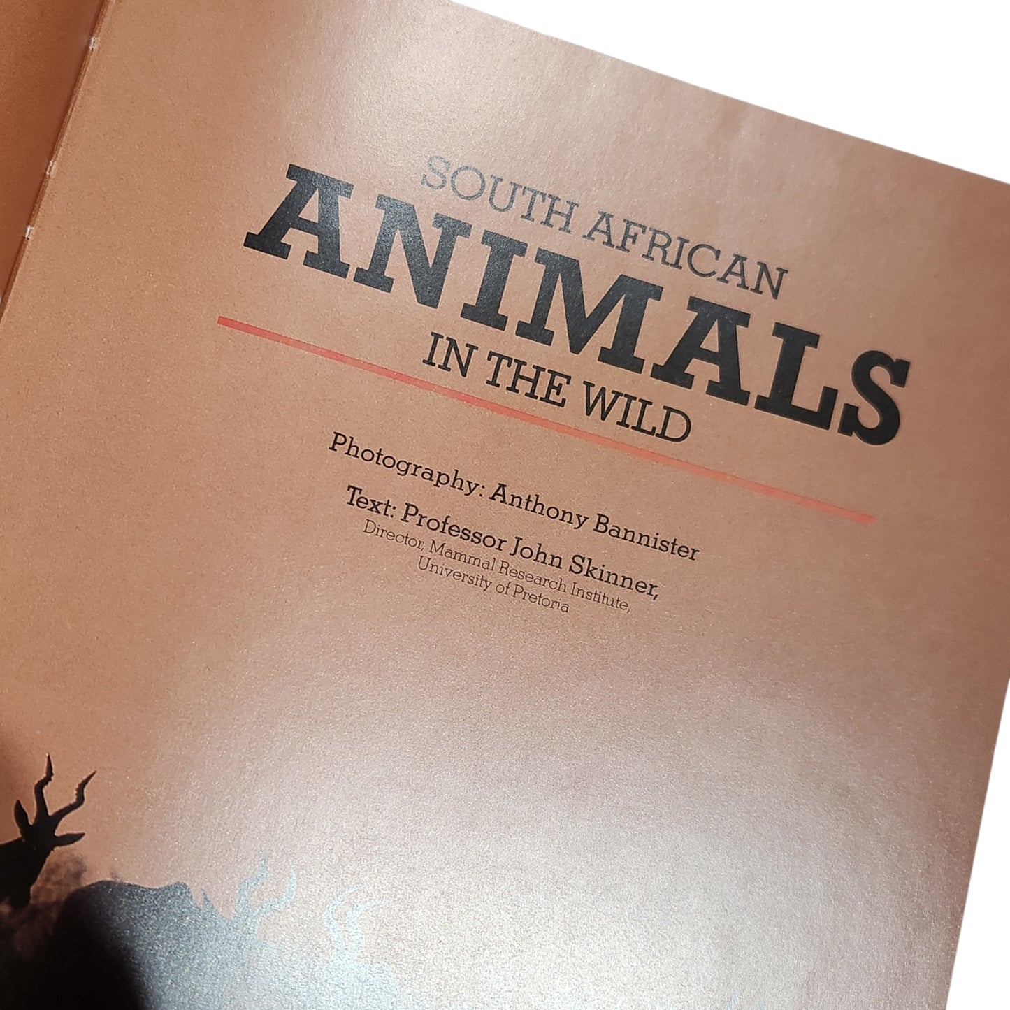 South African Animals in the Wild | Anthony Bannister
