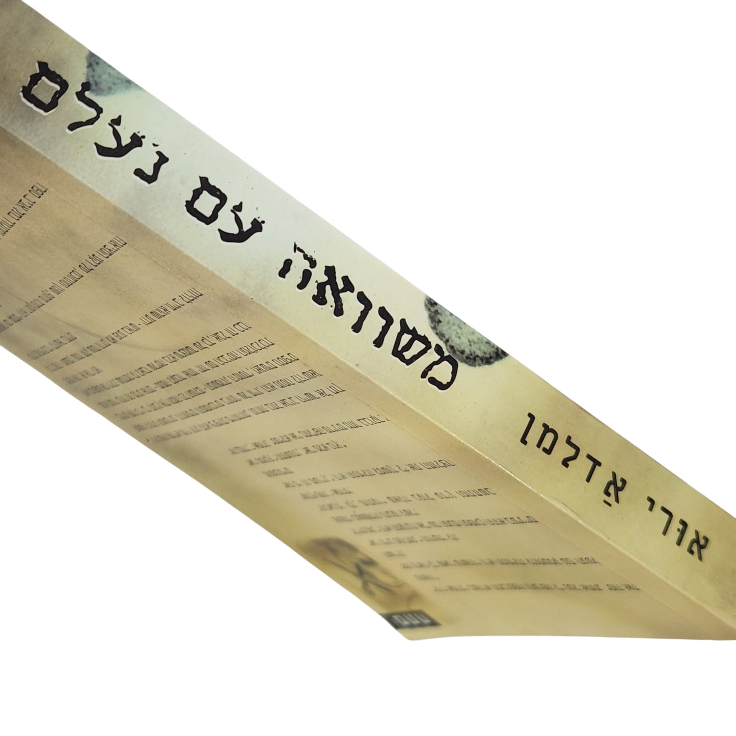 אורי אדלמן | משוואה עם נעלם | מותחן ישראלי מרתק